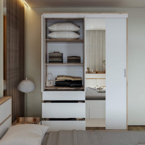 Шкаф-купе Брауни 1.5м в Болотное - bolotnoe.mebelnovo.ru | фото