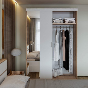 Шкаф-купе Брауни 1.5м в Болотное - bolotnoe.mebelnovo.ru | фото