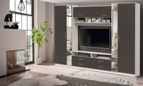 ШМЦ Вена  91.01 с зеркалом в Болотное - bolotnoe.mebelnovo.ru | фото